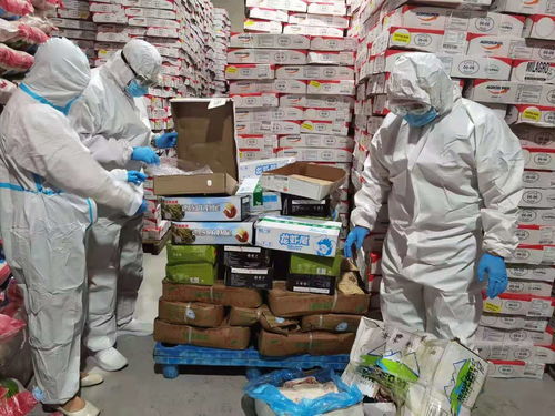 烏蘭察布市場監管局強化進口冷鏈食品與奶制品監管，突擊檢查批發及進出口環節